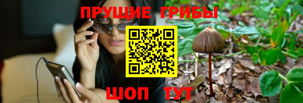 Псилоцибиновые грибы прущие грибы  Псилоцибиновые грибы прущие грибы  Вход с VPN  Улан-Удэ 